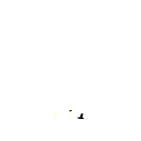 s11
