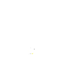 s11